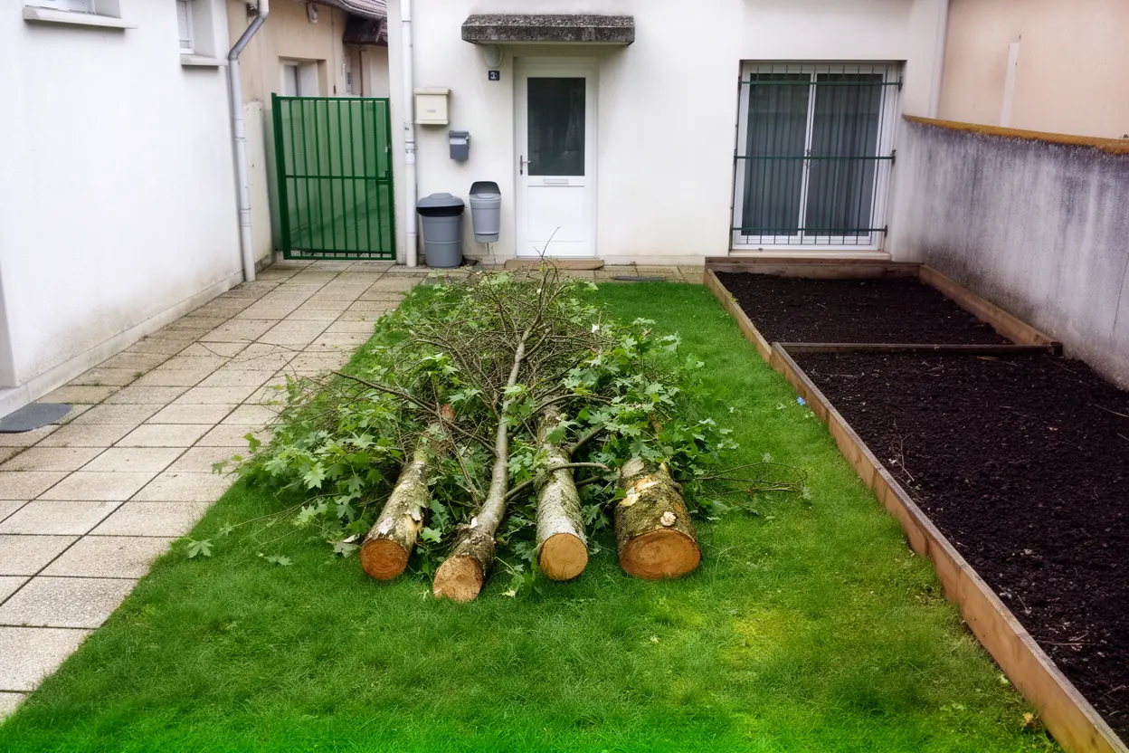 Houppier débité dans un jardin à Seyssinet-Pariset